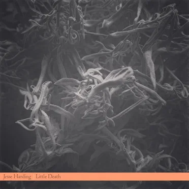Little Death by Jesse Harding - album cover