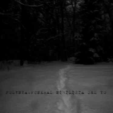 Funeral Nihilista del Yo by Polynya - album cover
