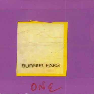 Burnieleaks 1