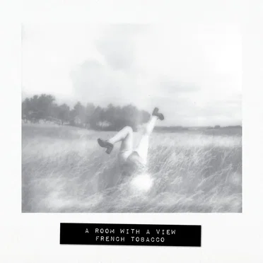 A Room With a View by French Tobacco - album cover