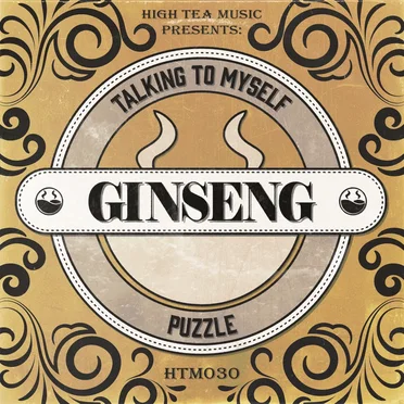 Talking to Myself by Puzzle - album cover