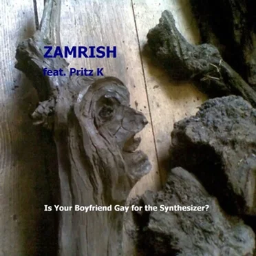 Is Your Boyfriend Gay for the Synthesizer?