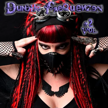 Dunkle Frequenzen Vol.2 by Various Artists - album cover