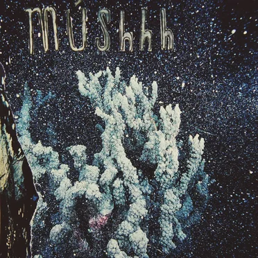 EICV7" No. 100 by Múshhh - album cover