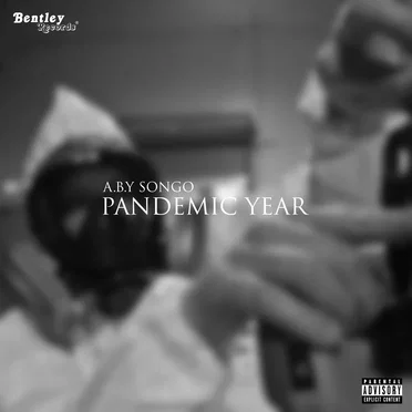 Pandemic Year