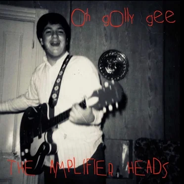 Oh Golly Gee by The Amplifier Heads - album cover