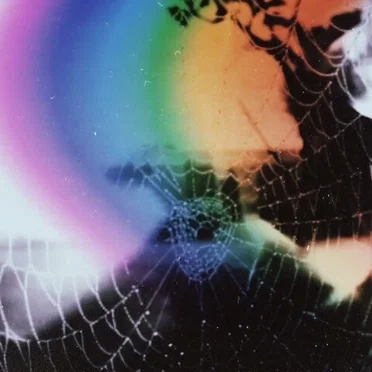 Prism Web Coat