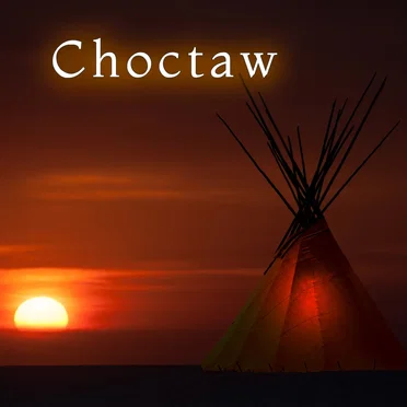 Choctaw by Matt Johnson - album cover