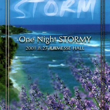 One Night STORMY by Various Artists - album cover