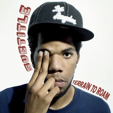 Terrain to Roam by Subtitle - album cover