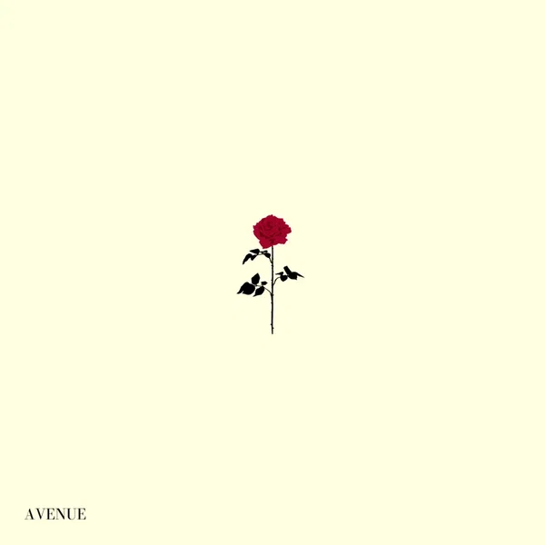 Avenue