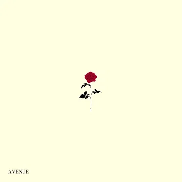 Avenue