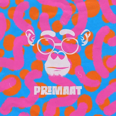 Roze bril by Primaat - album cover