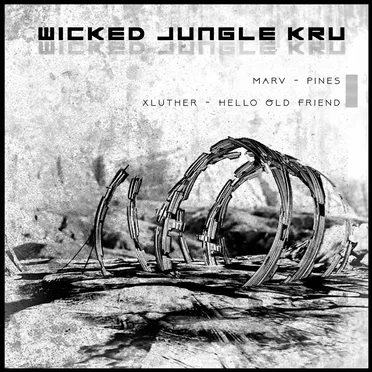 Wicked Jungle Kru 010 by Various Artists - album cover