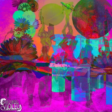 Dust on the Shelf by Shrinking Violets - album cover