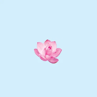 Its a Lofi by Domknowz - album cover