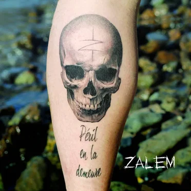 Péril en la demeure by Zalem - album cover