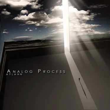 Analog Process