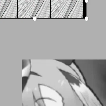 Submerged forest / specialNautilus