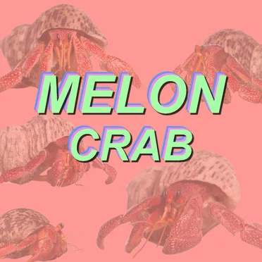 Crab
