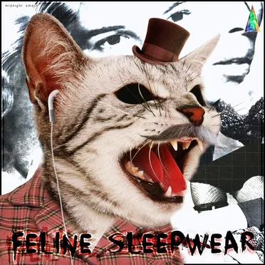 Feline Sleepwear by Midnight Smack - album cover