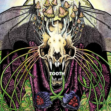 TOOTH by Tooth - album cover