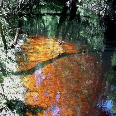 Black Water (E)