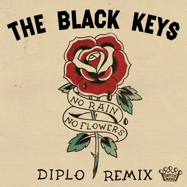 No Rain, No Flowers (Diplo Remix)
