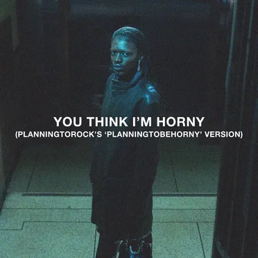You Think I’m Horny (Planningtorock’s ’Planningtobehorny’ version)