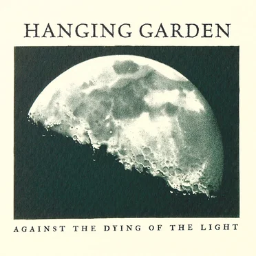 Chance Encounters (Navigator) by Hanging Garden - album cover
