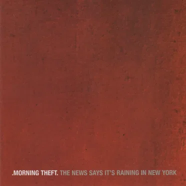 The News Says It's Raining In New York