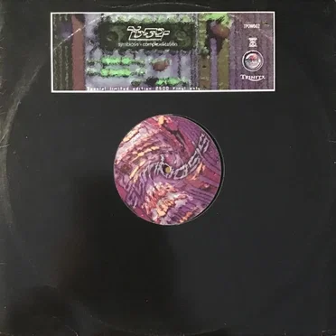 Symbiosis / Complexification