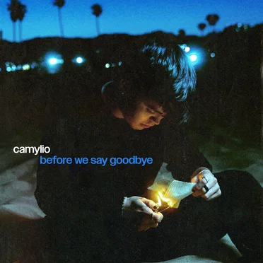 before we say goodbye by Camylio - album cover