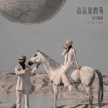 追星星的马 by 电气樱桃 - album cover