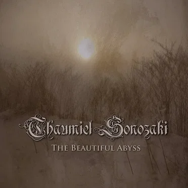 The Beautiful Abyss by Thaumiel Sonozaki - album cover