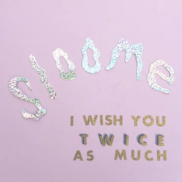I Wish You Twice As Much