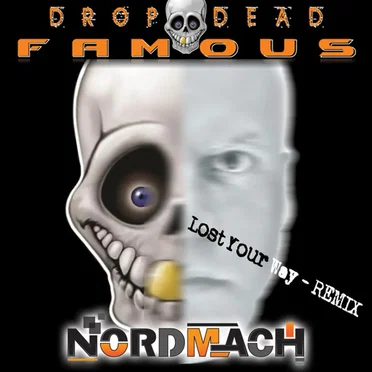 Lost Your Way (Remix) by Nordmach - album cover