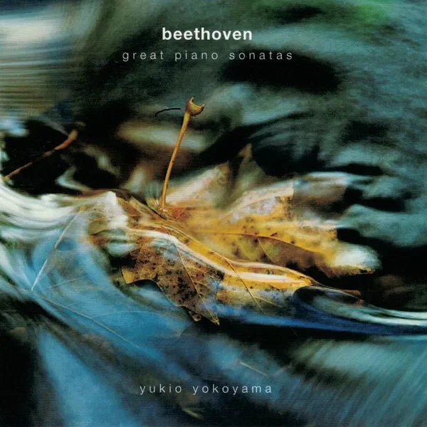 Great Piano Sonatas