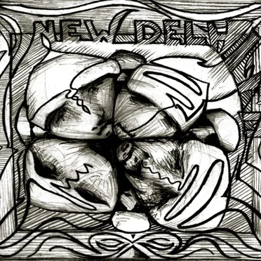 Daylight Confusion by New Delhi FM - album cover