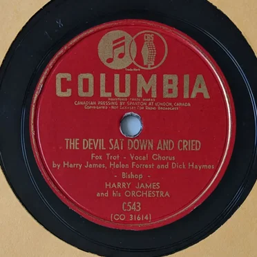 The Devil Sat Down and Cried / Wait ’till the Sun Shines, Nellie
