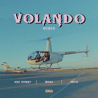 Volando (remix)