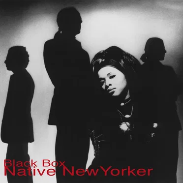 Native New Yorker by Black Box - album cover