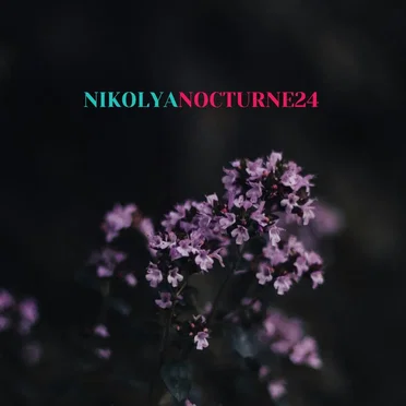 Nocturne 24