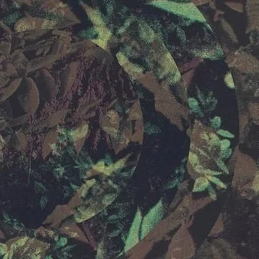 Treehut Visions