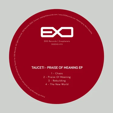 Praise of Meaning EP