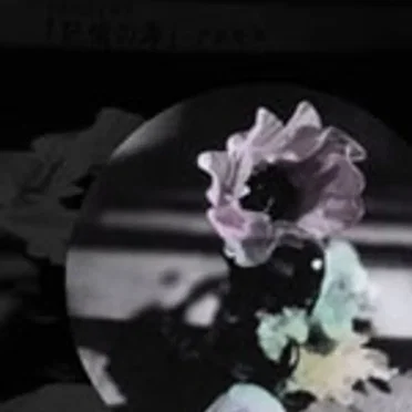 アネモネシネマ 記憶の海