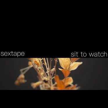 sit to watch by sextape - album cover