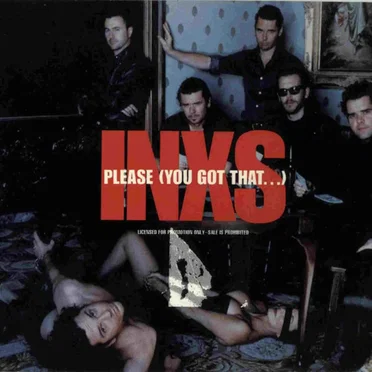 Please (You Got That…)