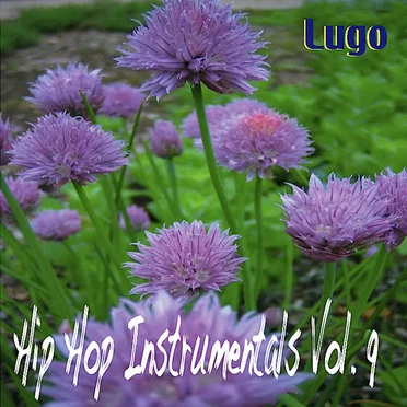 Hip Hop Instrumentals Vol. 9