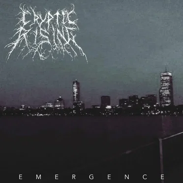 Emergence